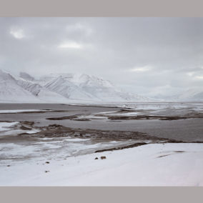 Savalbard, an arcticficial life de Julia de Cooker, RPP#1