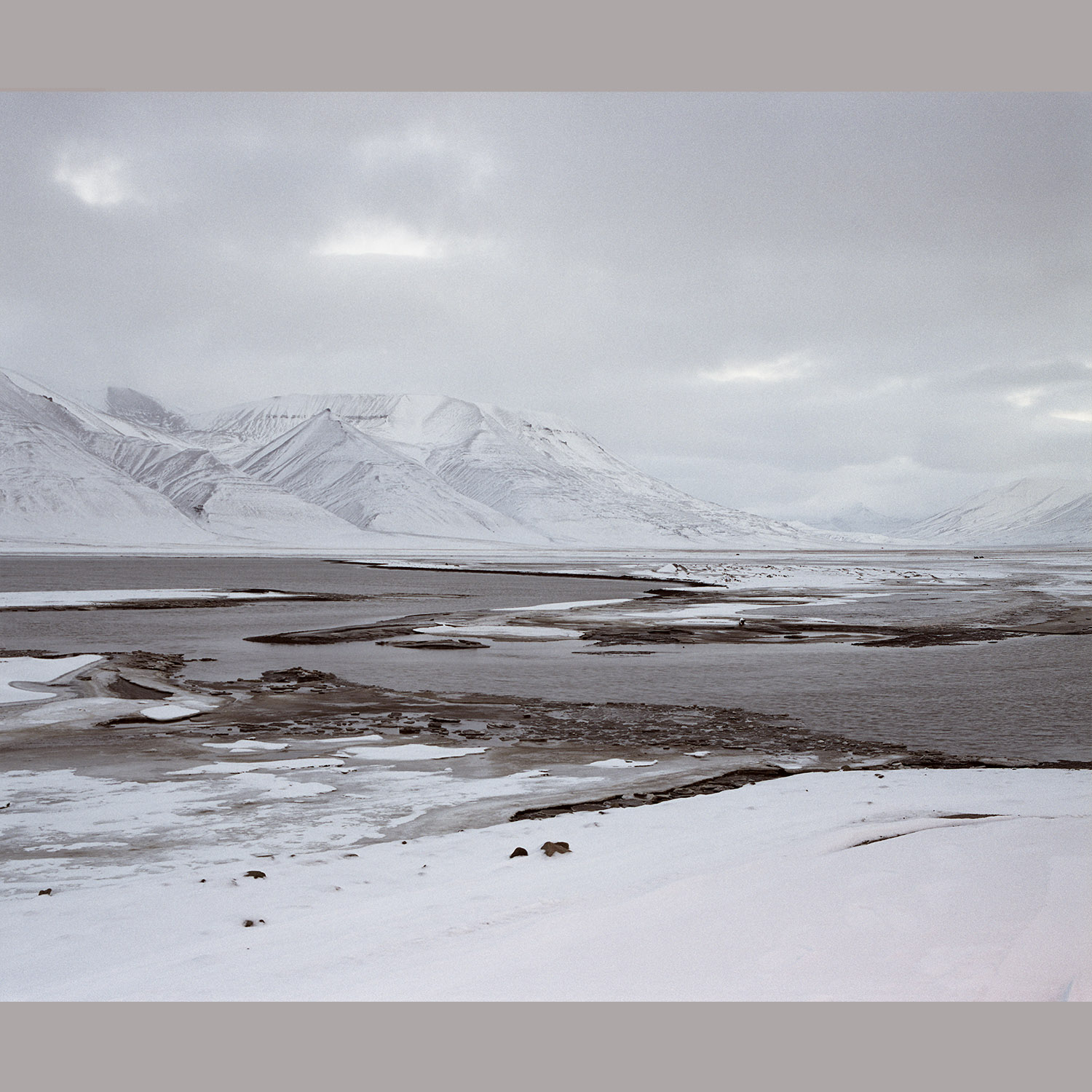 Julia de Cooker- Svalbard