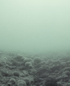 Panorama de la jeune photographie Européenne