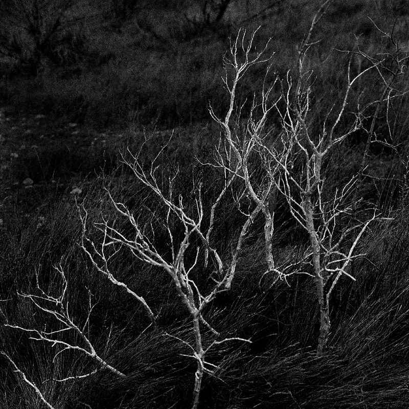 Design sans titre(3)-min