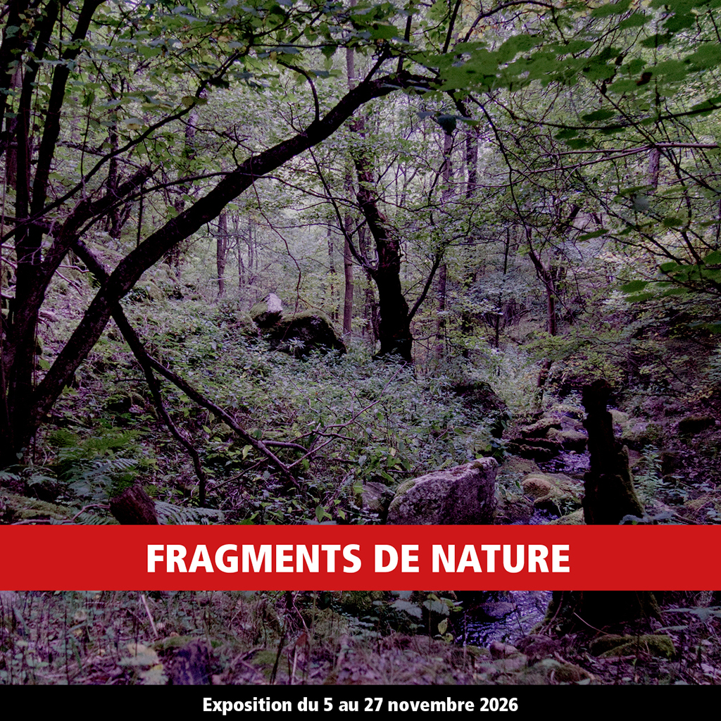 SITE23